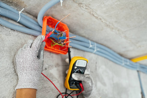 Best Ceiling Fan Installation Electrician  in Erma, NJ